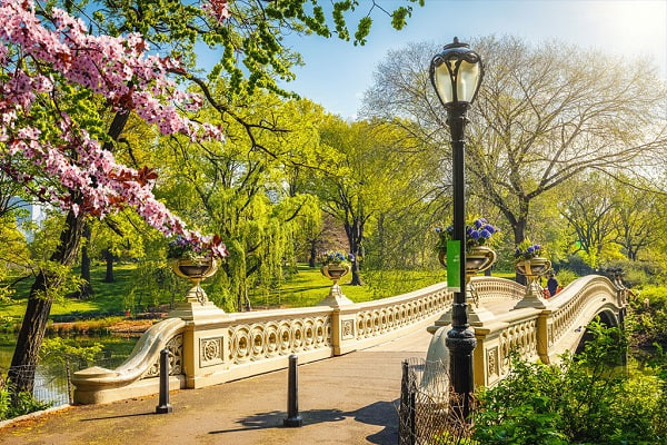 🌳 تعبیر خواب پارک از نظر معبران معروف و موضوعات مختلف