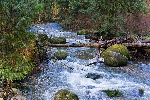 💧 تعبیر خواب جوی آب از نظر معبران معروف و موضوعات مختلف 💧 تعبیر خواب جوی آب از نظر معبران معروف و موضوعات مختلف