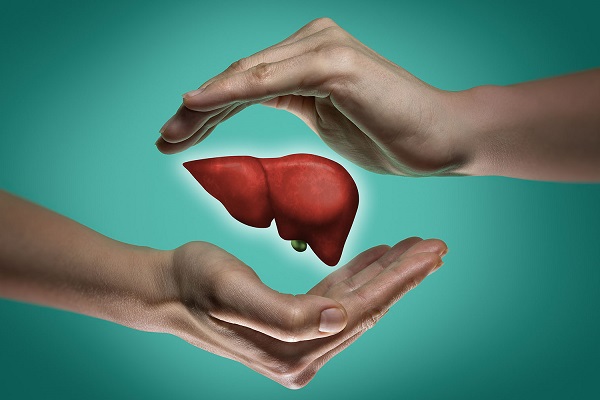 🫀 تعبیر خواب جگر از نظر معبران معروف و موضوعات مختلف 🫀 تعبیر خواب جگر از نظر معبران معروف و موضوعات مختلف