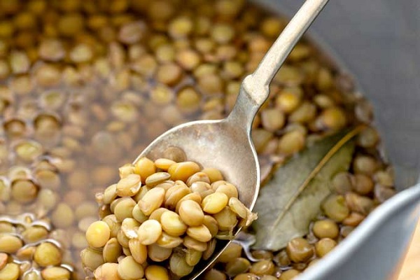 🫘 تعبیر خواب عدس از نظر معبران معروف و موضوعات مختلف