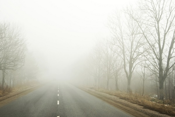 ☁️ تعبیر خواب مه از نظر معبران معروف و موضوعات مختلف