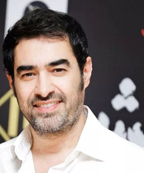 شهاب حسینی