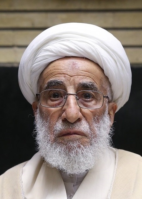 بیوگرافی و زندگینامه آیت الله احمد جنتی