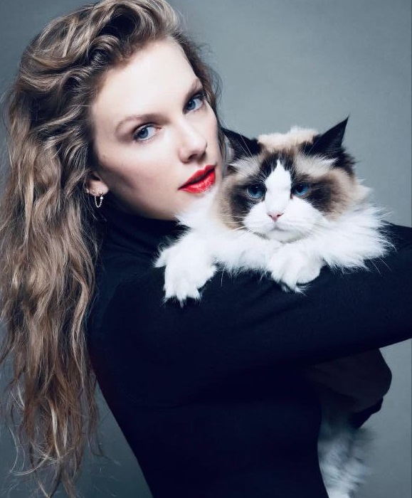 بیوگرافی و زندگینامه تیلور سوئیفت بیوگرافی و زندگینامه تیلور سوئیفت