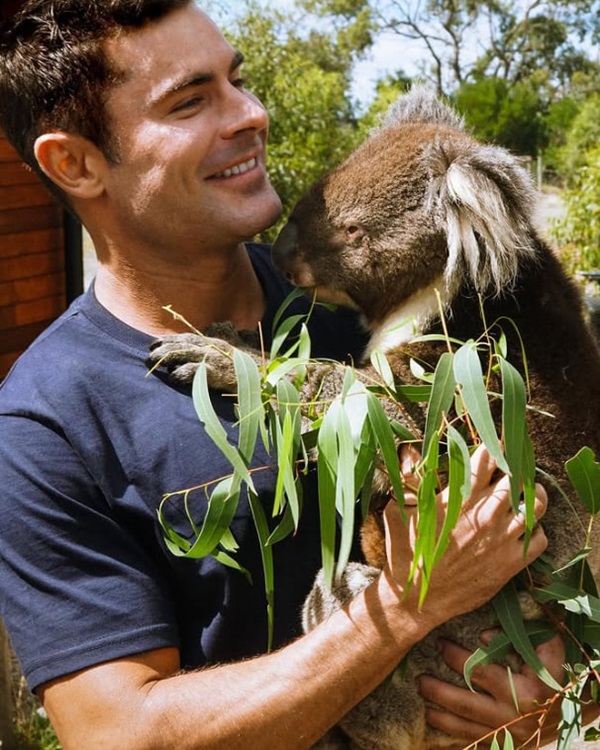 عکس زیبای زک افران در کنار حیوانات